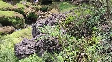 旅行缆车索道高山小溪流水拍摄视频视频的预览图